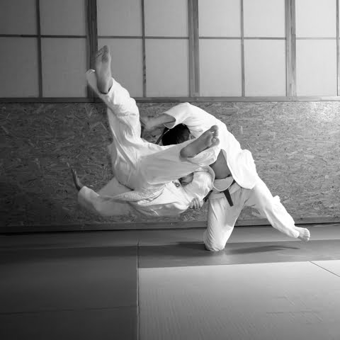 Is BJJ good for Self Defense?