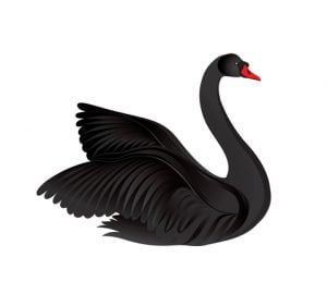 event black swan