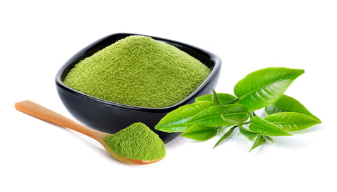 immune function - green tea