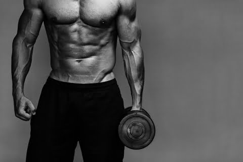 The Best Grass Fed Whey Protein: Transparent Labs Review